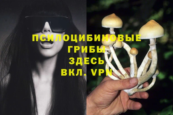 СК Абинск